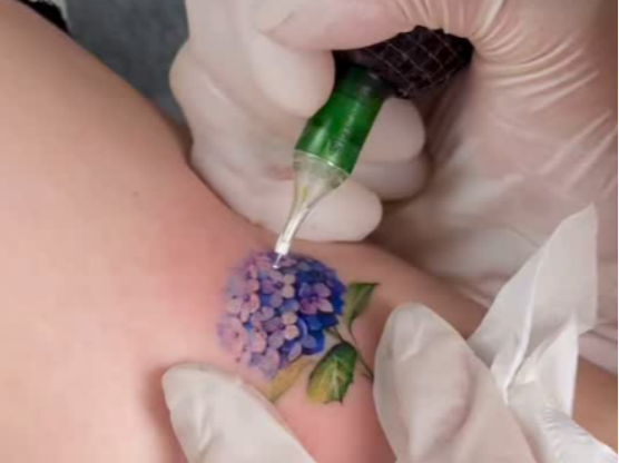 ELITE INFINI vs. ELITE EVO: Choosing the Perfect Tattoo Cartridge for Your Next Piece